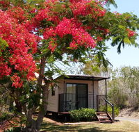 Mt Larcom Tourist Park - Accommodation Mermaid Beach