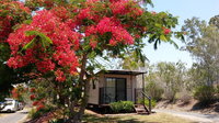 Book Mount Larcom Accommodation Vacations Accommodation Mermaid Beach Accommodation Mermaid Beach