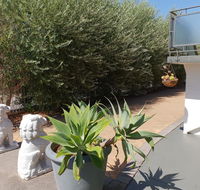 Mt.Lawley superb 2 BR Apartment Ideally located 5 - Accommodation Mermaid Beach