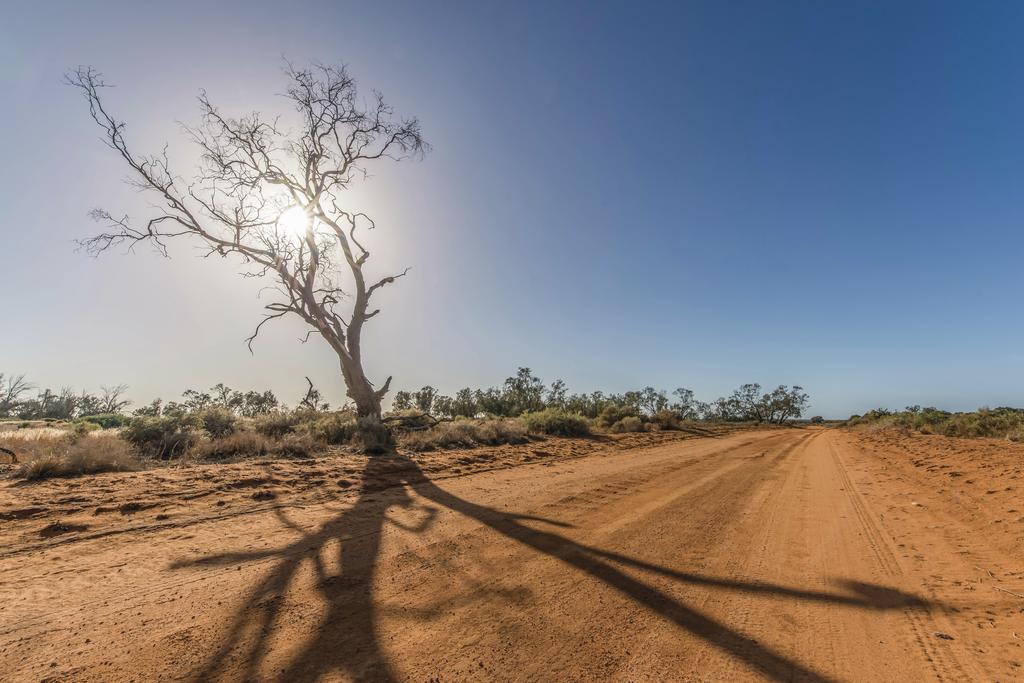 Mungo NSW Accommodation Mermaid Beach