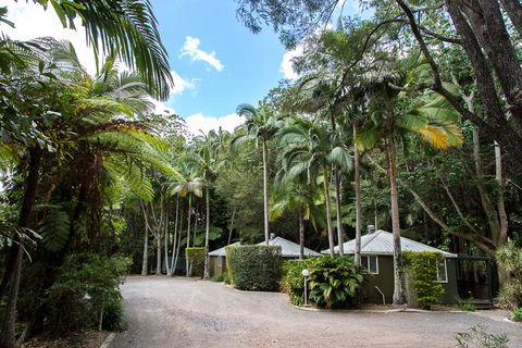 Nambour Rainforest Holiday Village - Accommodation Mermaid Beach 2