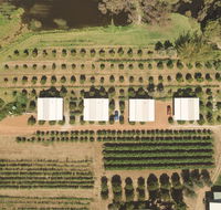 Swan Valley Sisters - Accommodation Mermaid Beach