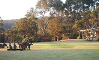 Book Walpole Accommodation Vacations Accommodation Mermaid Beach Accommodation Mermaid Beach