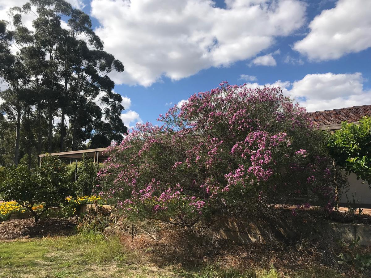 Beeliar WA Accommodation Mermaid Beach