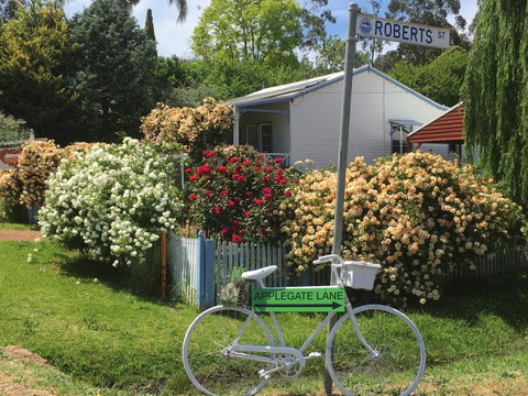 Applegate Lane Chalet - Accommodation Mermaid Beach 2