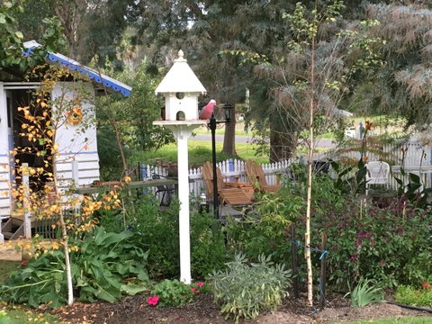 Applegate Lane Chalet - Accommodation Mermaid Beach 24