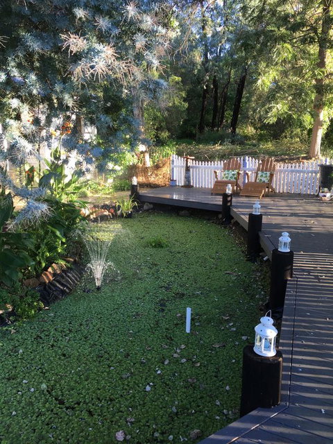 Applegate Lane Chalet - Accommodation Mermaid Beach 23