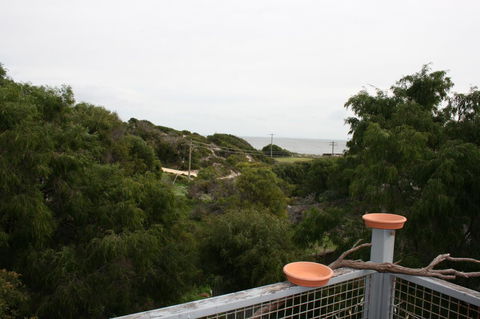Peppy Beach Ocean Views - Accommodation Mermaid Beach 8