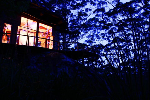 Ark Of Denmark - Accommodation Mermaid Beach 15