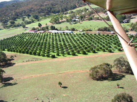 Bindoon's Windmill Farm - Accommodation Mermaid Beach 3