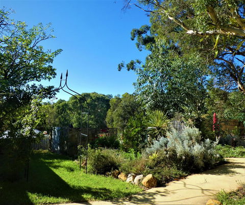 Treetops Cottage - Accommodation Mermaid Beach 14