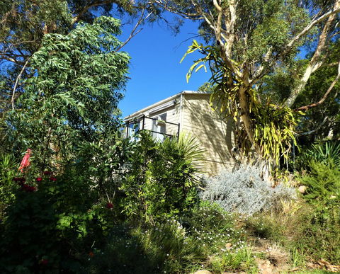 Treetops Cottage - Accommodation Mermaid Beach 13
