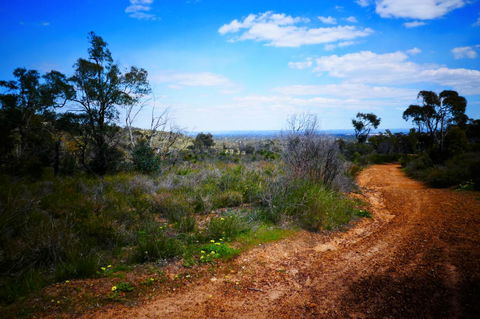 Treetops Cottage - Accommodation Mermaid Beach 35