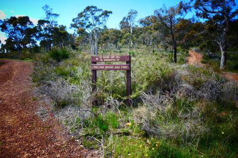Treetops Cottage - Accommodation Mermaid Beach 34