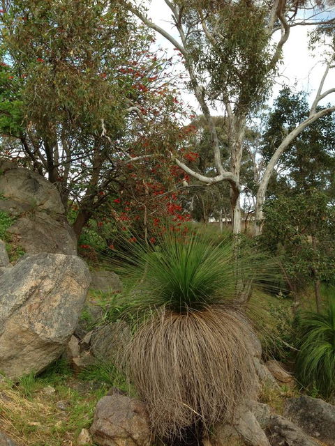 Treetops Cottage - Accommodation Mermaid Beach 26