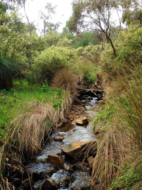Treetops Cottage - Accommodation Mermaid Beach 22