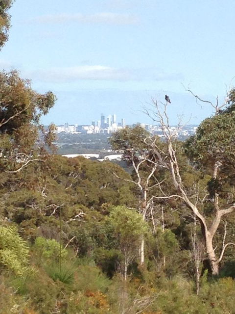 Treetops Cottage - Accommodation Mermaid Beach 38