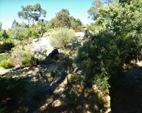 Treetops Cottage - Accommodation Mermaid Beach 11