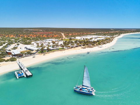 RAC Monkey Mia Dolphin Resort - Accommodation Mermaid Beach 44