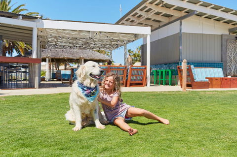 RAC Monkey Mia Dolphin Resort - Accommodation Mermaid Beach 35