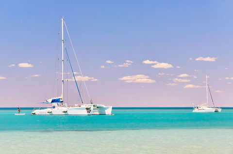 RAC Monkey Mia Dolphin Resort - Accommodation Mermaid Beach 18