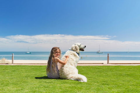 RAC Monkey Mia Dolphin Resort - Accommodation Mermaid Beach 36