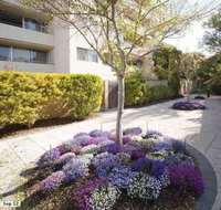 Retro Central Claremont Oasis - Accommodation Mermaid Beach