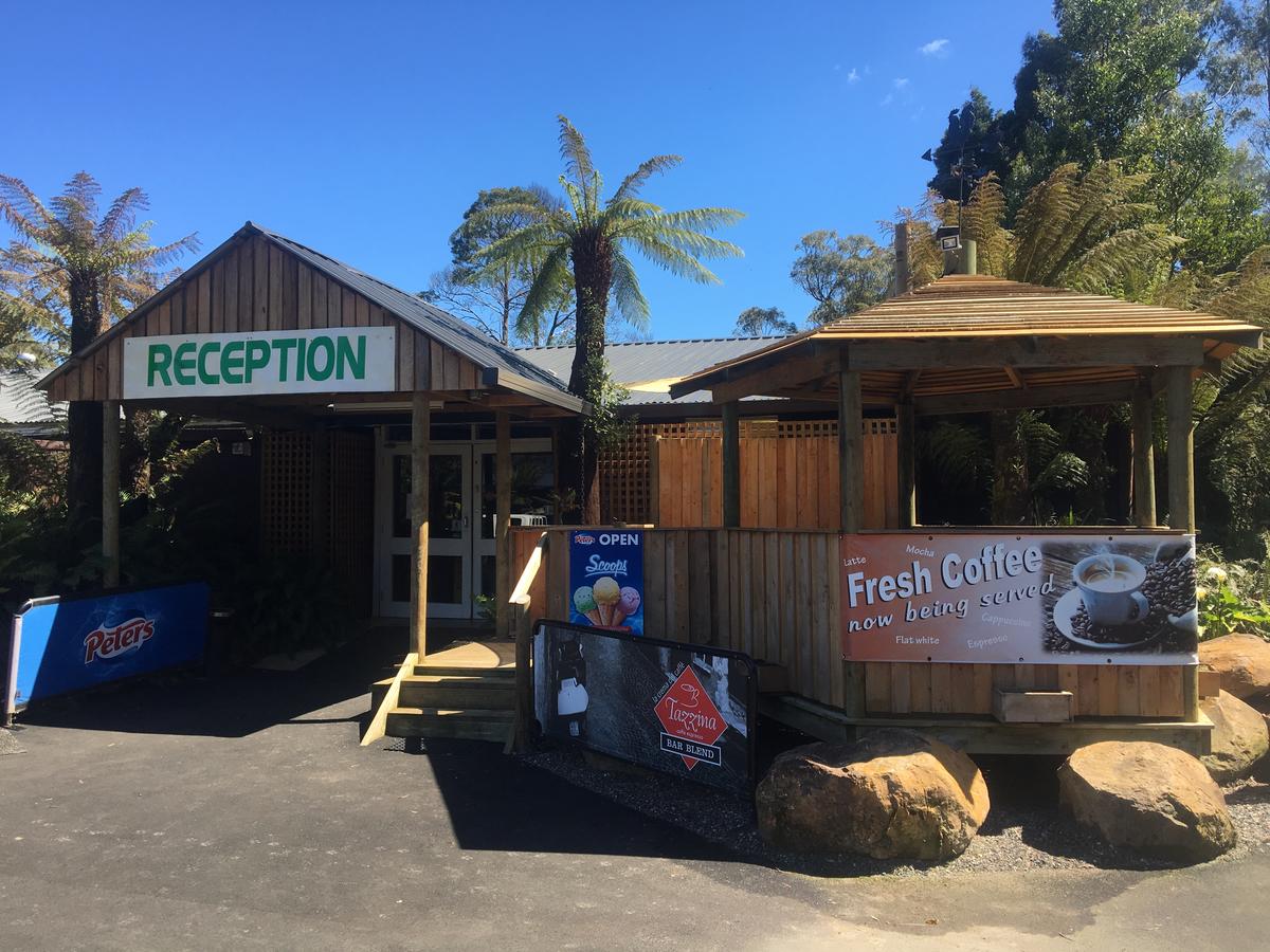  Accommodation Mermaid Beach