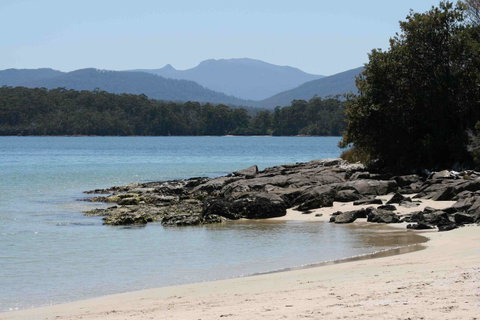 Driftwood - Accommodation Mermaid Beach 14