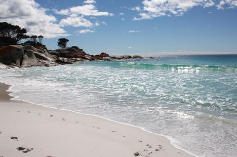 SEA EAGLE COTTAGE Amazing Views Of Bay Of Fires - Accommodation Mermaid Beach 14