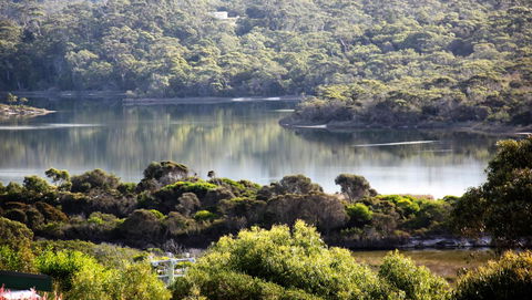 SEA EAGLE COTTAGE Amazing Views Of Bay Of Fires - Accommodation Mermaid Beach 17