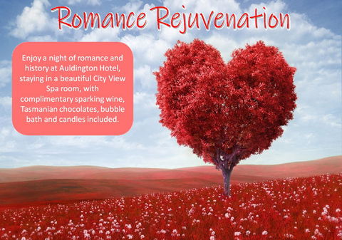 Auldington Hotel - Accommodation Mermaid Beach 6