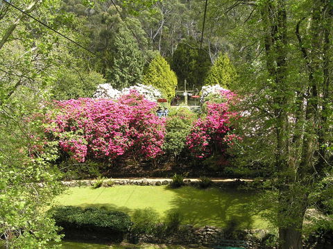 Auldington Hotel - Accommodation Mermaid Beach 23