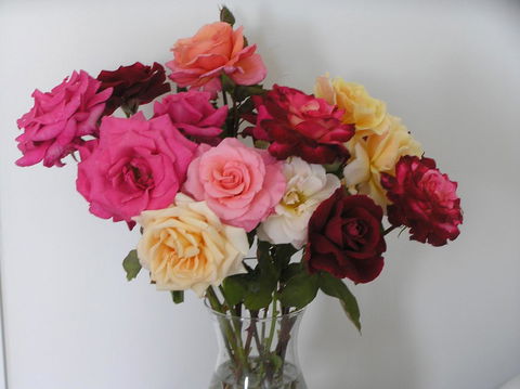 Auldington Hotel - Accommodation Mermaid Beach 30