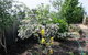 Elm Trees Accommodation @ Ross - thumb 7