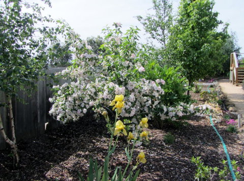 Elm Trees Accommodation @ Ross - Accommodation Mermaid Beach 7