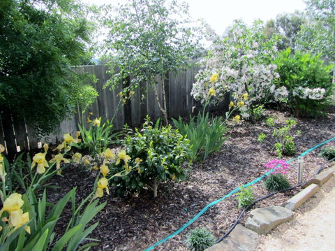Elm Trees Accommodation @ Ross - Accommodation Mermaid Beach 6
