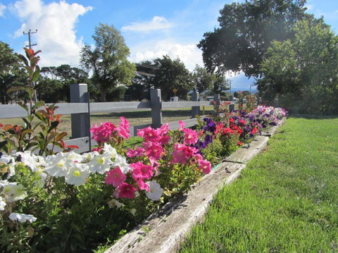 Elm Trees Accommodation @ Ross - Accommodation Mermaid Beach 24