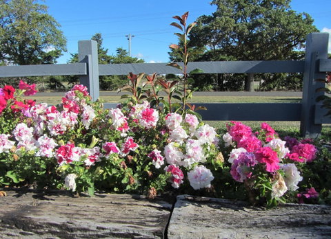 Elm Trees Accommodation @ Ross - Accommodation Mermaid Beach 25