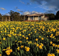 Mountain Blue Guest House - Accommodation Mermaid Beach