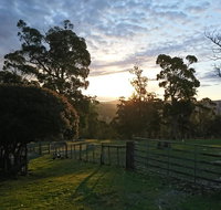 Glengarry farm stay BnB - Accommodation Mermaid Beach