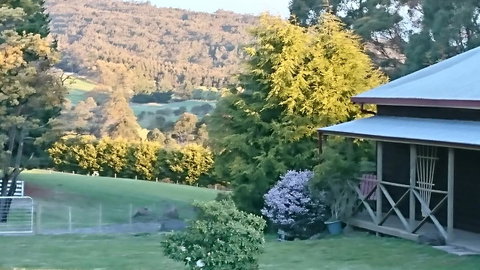 Glengarry Farm Stay BnB - Accommodation Mermaid Beach 7