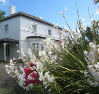 The Grove Cottages - Accommodation Mermaid Beach