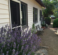 Walnut Cottage - Accommodation Mermaid Beach