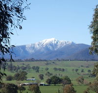 Off Mountain Accommodation - Accommodation Mermaid Beach