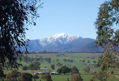 Off Mountain Accommodation - Accommodation Mermaid Beach 0