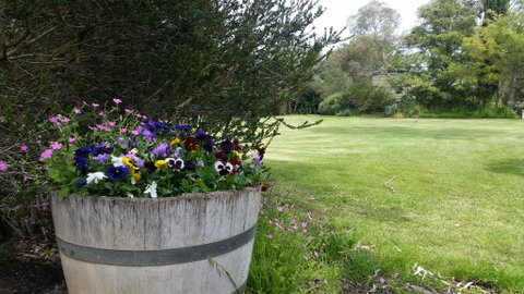 Padthaway Caravan Park - Accommodation Mermaid Beach 0
