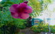 Paradise Travellers Rest - thumb 1