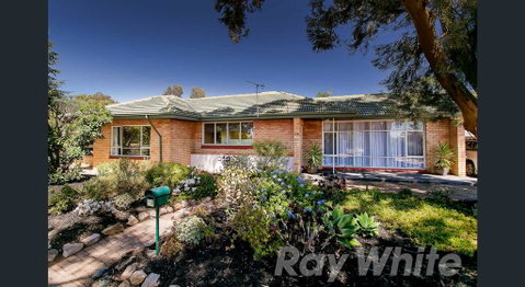 Pasadena Quinlan - Accommodation Mermaid Beach 0