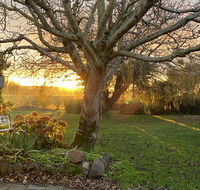 Peg Cottage - Accommodation Mermaid Beach